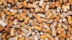 アパートのコルクハック：10分で壁、フローリング、そして神経を保護する方法